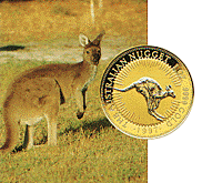 Australian Gold Coin 